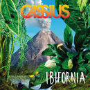 Ibifornia | Cassius