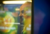Alan Stivell : interview vidéo Qobuz
